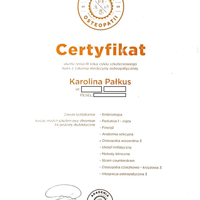 Powiększ obraz: certificate 3