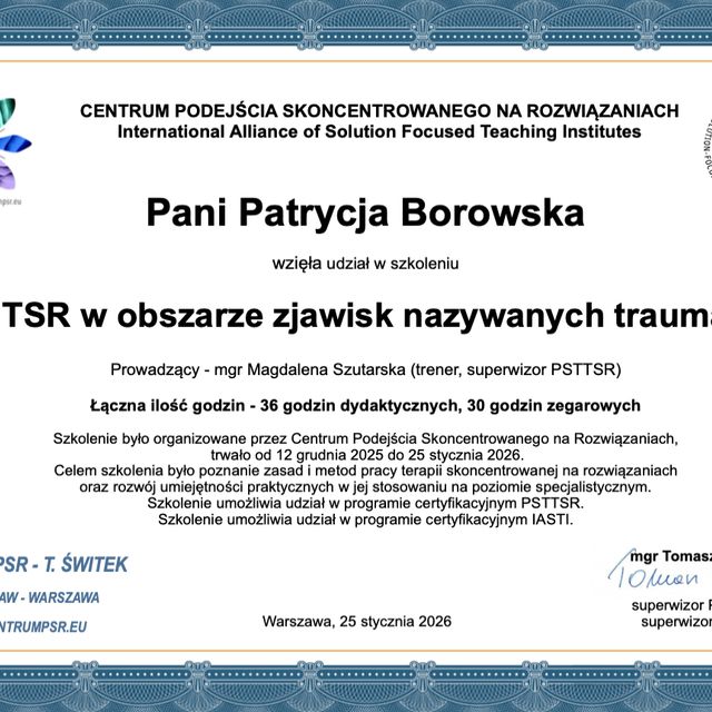 Powiększ obraz: certificate 13