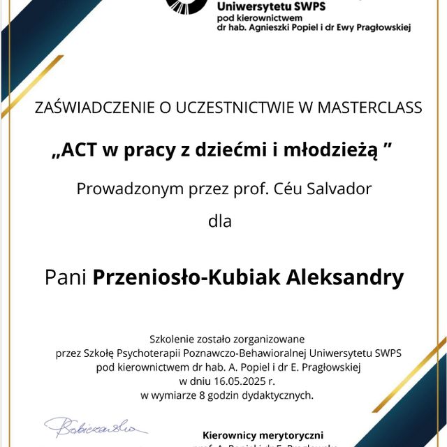 Powiększ obraz: certificate 8