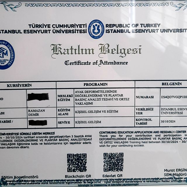 Resmi büyüt: certificate 34