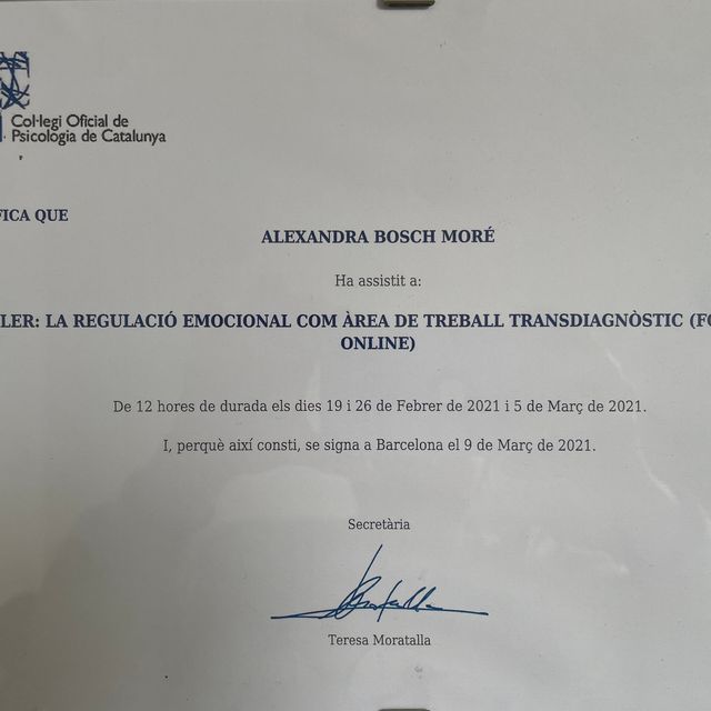 Acercar imagen: certificate 4