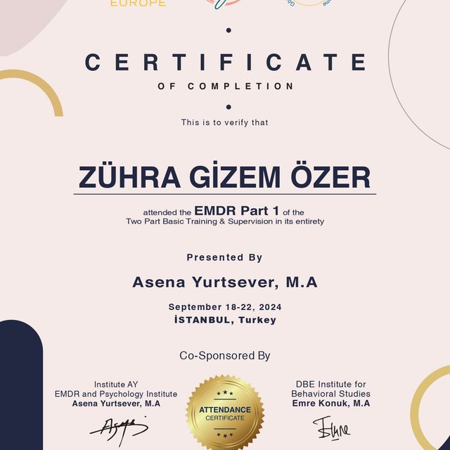Resmi büyüt: certificate 2
