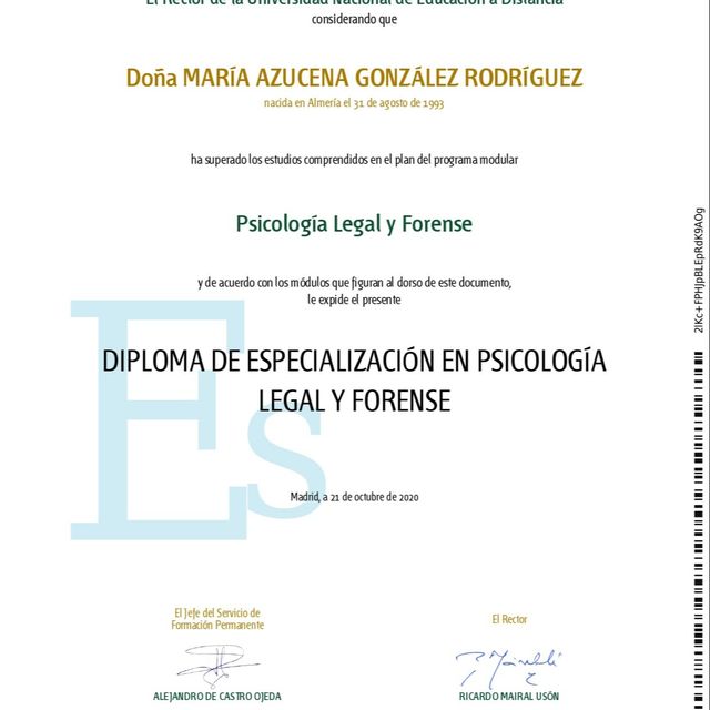 Acercar imagen: certificate 17