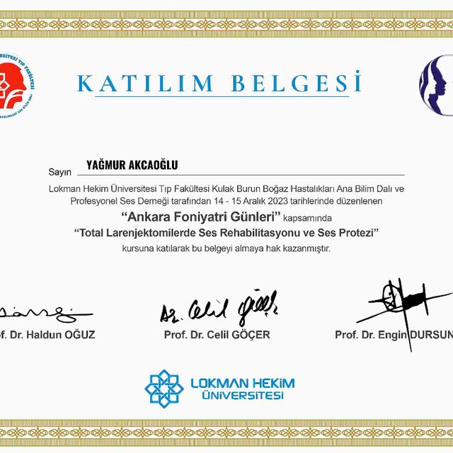 Resmi büyüt: certificate 12