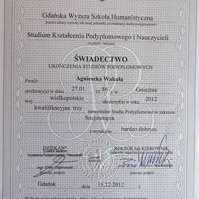 Powiększ obraz: certificate 4