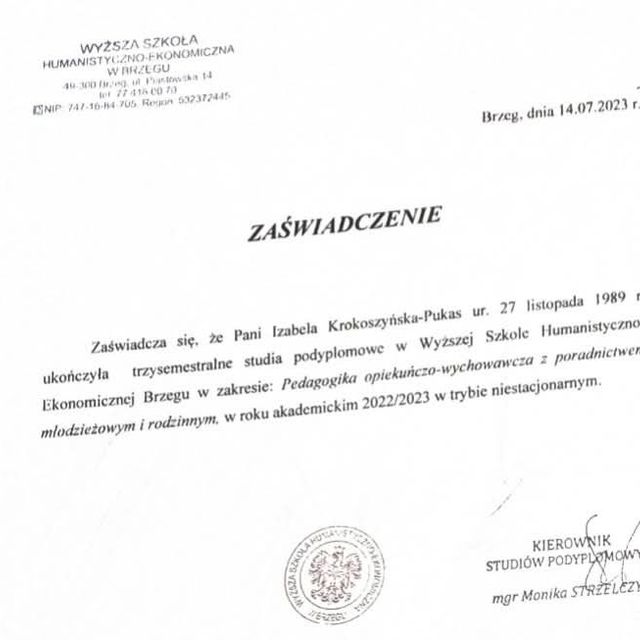 Powiększ obraz: certificate 3
