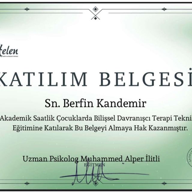 Resmi büyüt: certificate 2