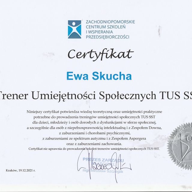 Powiększ obraz: certificate 10