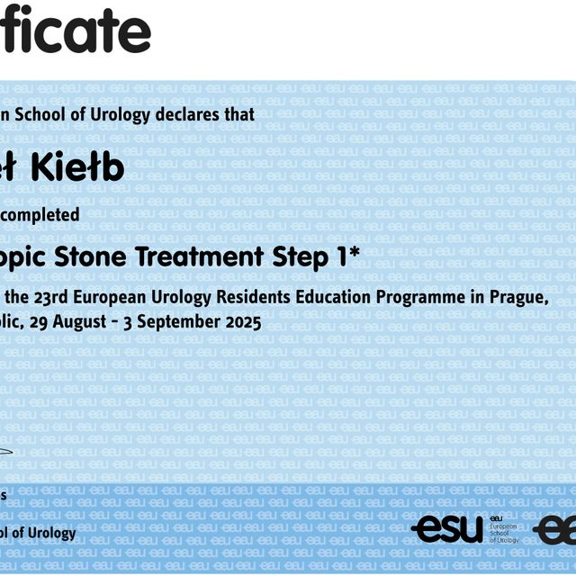 Powiększ obraz: certificate 3