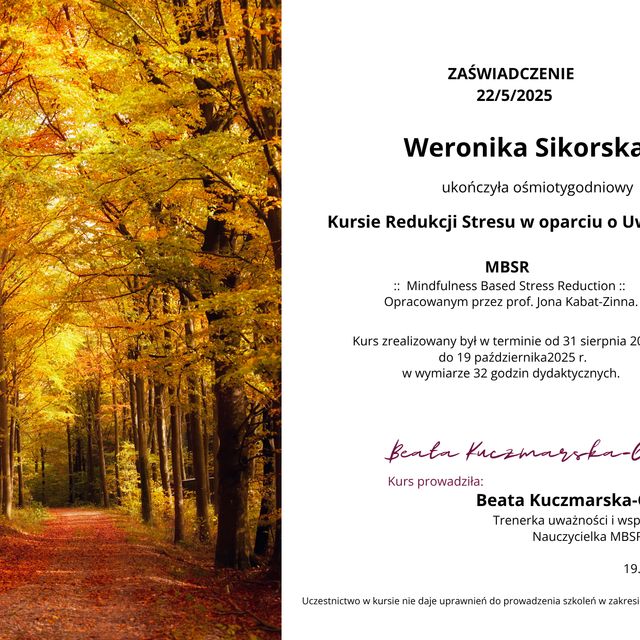 Powiększ obraz: certificate 2