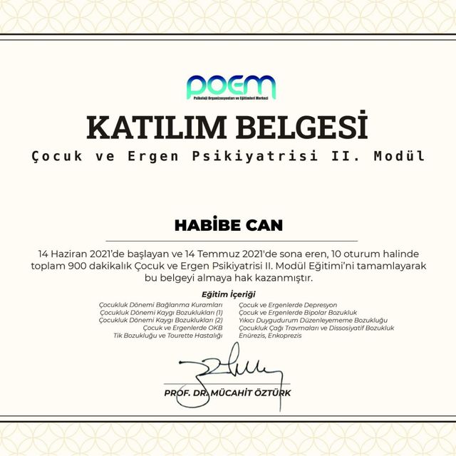 Resmi büyüt: certificate 10