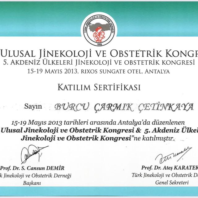Resmi büyüt: certificate 10