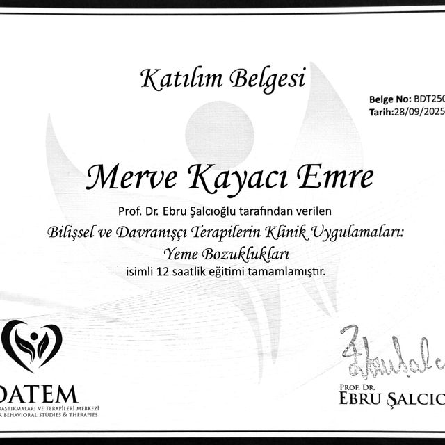 Resmi büyüt: certificate 13