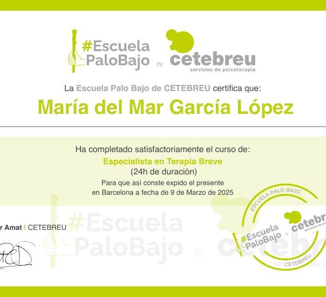 Acercar imagen: certificate 3