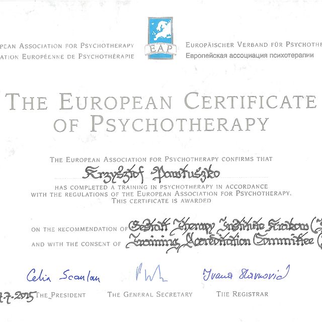 Powiększ obraz: certificate 7