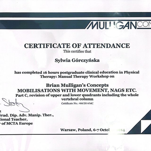 Powiększ obraz: certificate 10