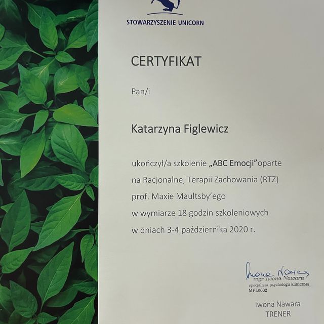 Powiększ obraz: certificate 5