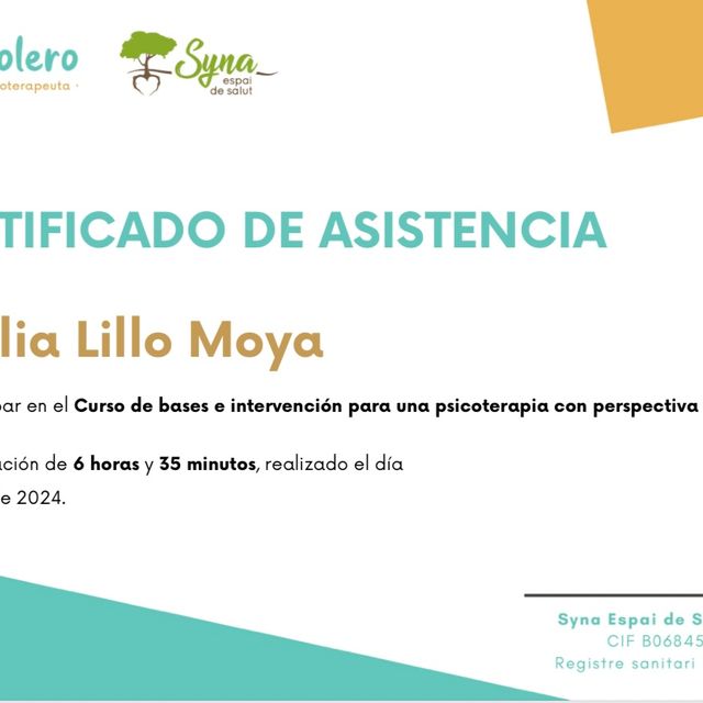 Acercar imagen: certificate 28
