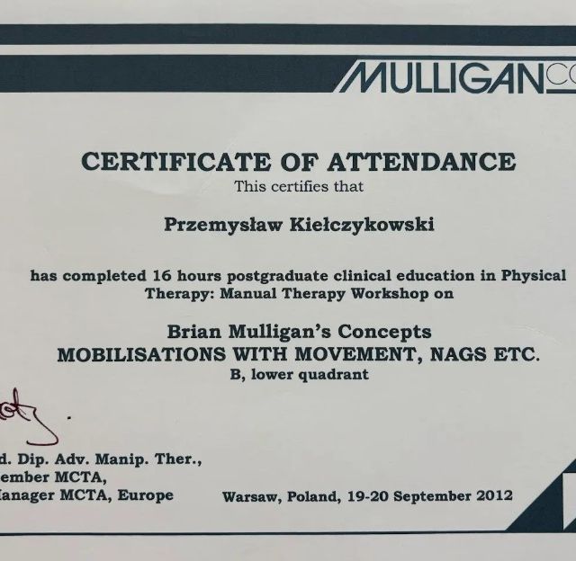 Powiększ obraz: certificate 7