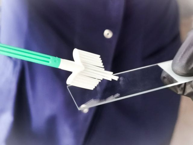 Powiększ obraz: Bella Clinica