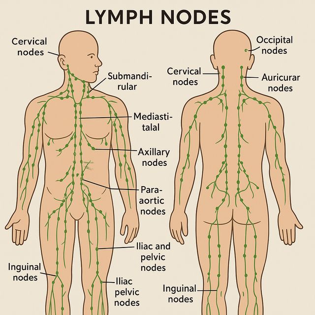 Ingrandire l'immagine: Raffaele Pasquariello
