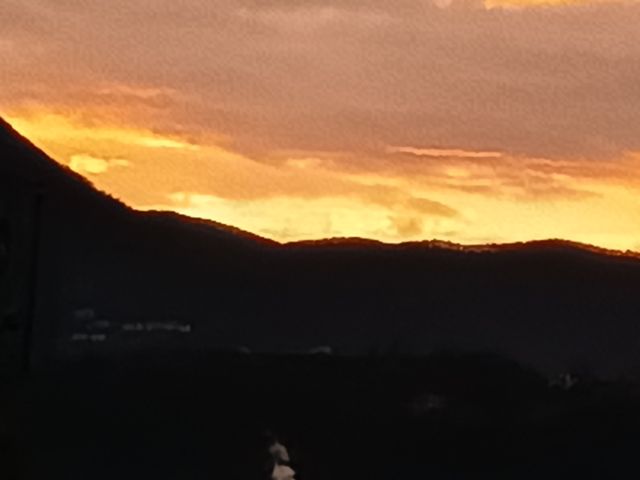 Ingrandire l'immagine: Studio online Dr. Francesco Botti