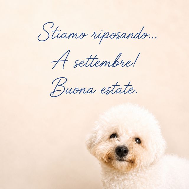 Ingrandire l'immagine: Consulenza Online