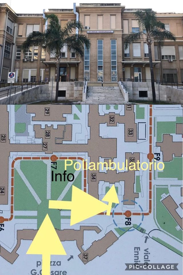 Ingrandire l'immagine: Azienda Ospedaliera Policlinico Di Bari