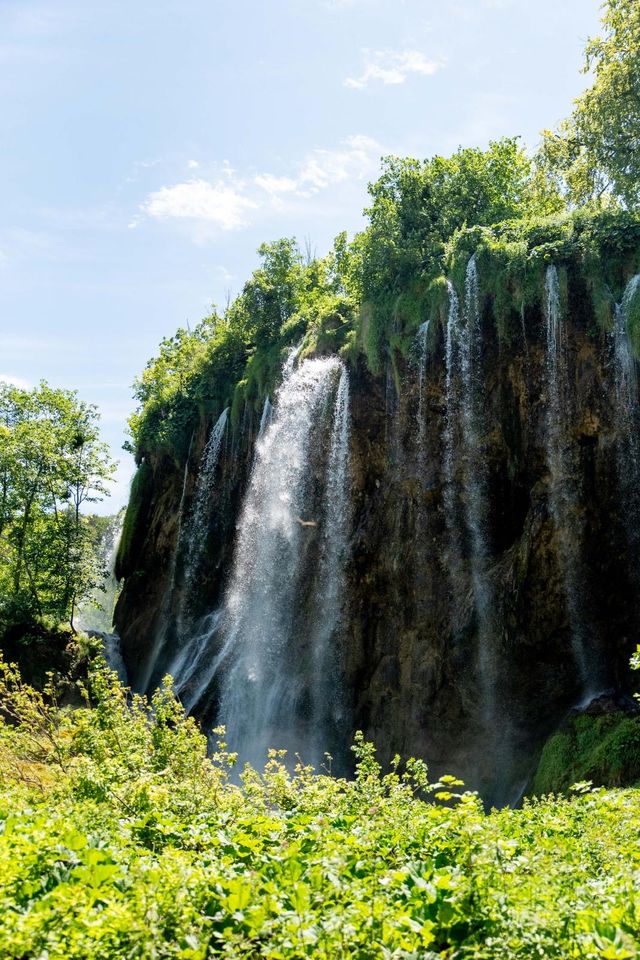 Powiększ obraz: Gabinet online programy samorozwój i stop derpesji