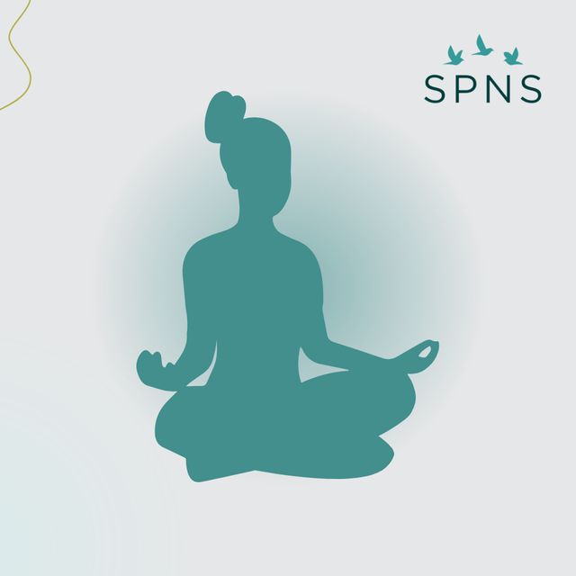 Powiększ obraz: Gabinety SPNS