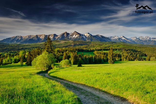Powiększ obraz: ProPsyche Centrum Psychoterapii