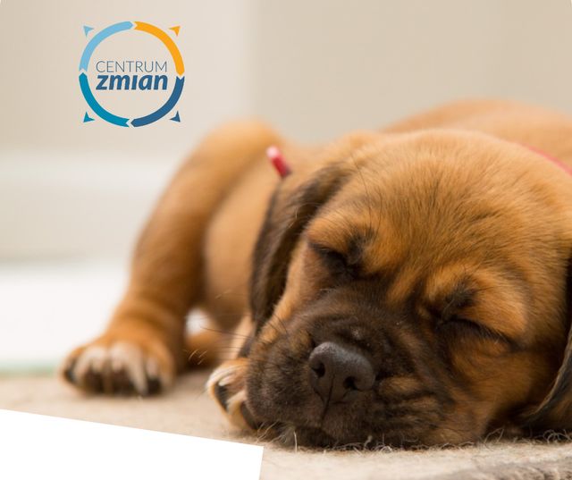 Powiększ obraz: Centrum Zmian