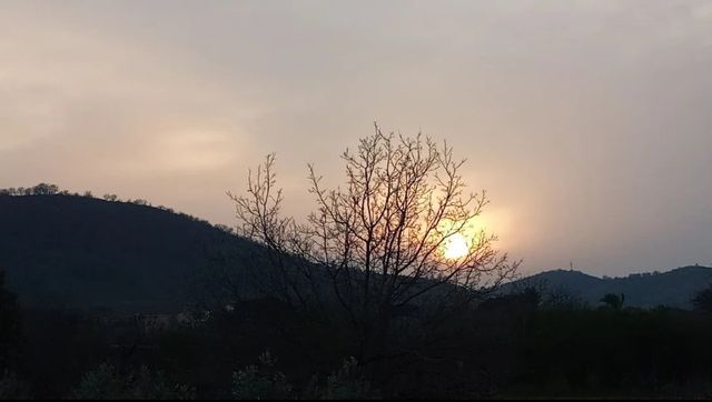 Ingrandire l'immagine: Studio online di Psicologia Clinica e dell'Età Evolutiva