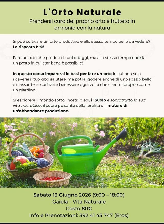 Ingrandire l'immagine: Studio di consulenza online