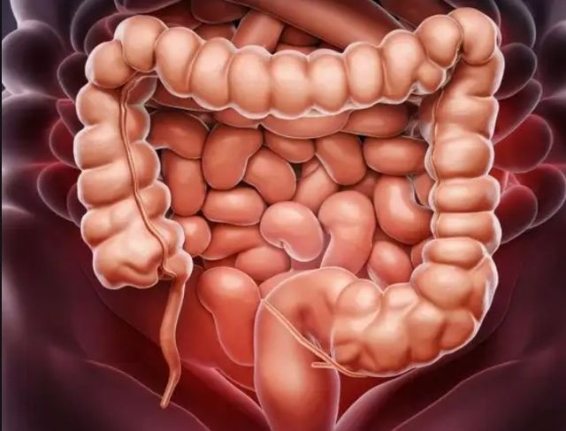 Acercar imagen: Consulta MANRESA