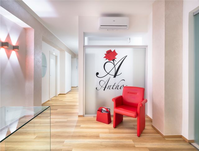 Ingrandire l'immagine: Studio Anthos