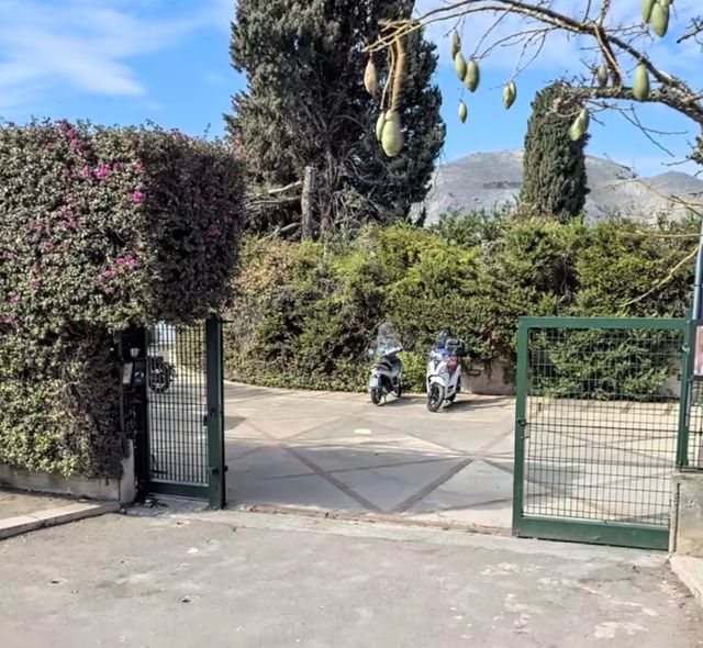 Ingrandire l'immagine: Giuliana Di Peri | Osteopata