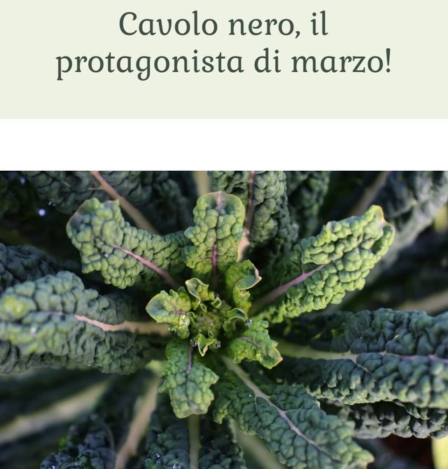 Ingrandire l'immagine: Apertamente