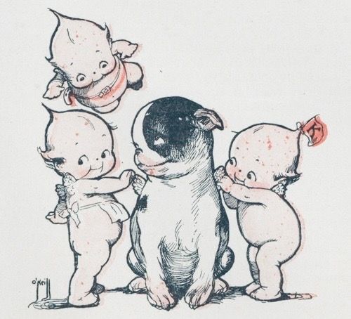 Powiększ obraz: Zakład Kardiologii Prenatalnej Instytut Centrum Zdrowia Matki Polki