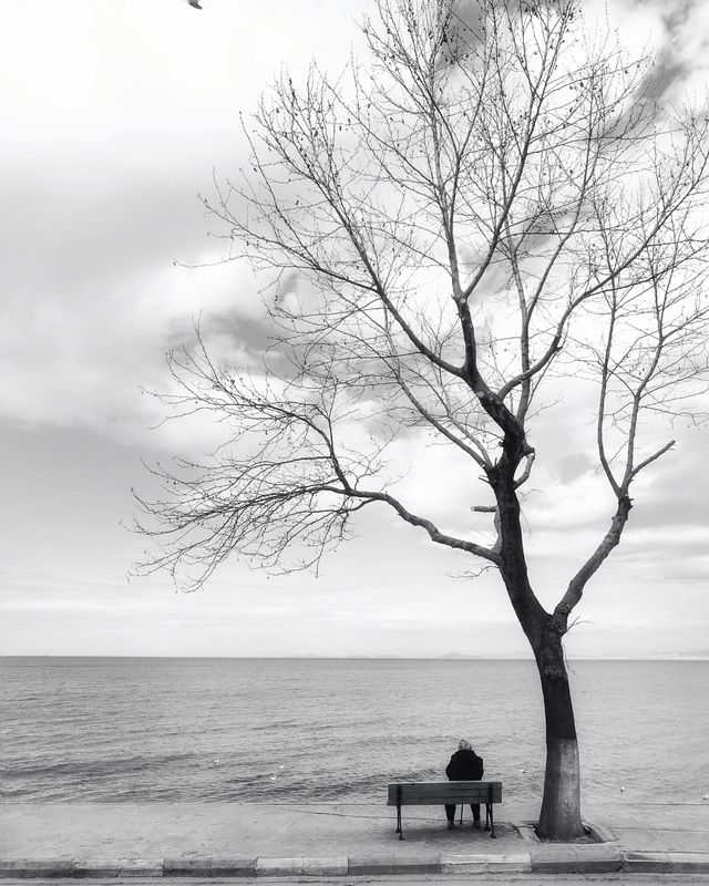 Acercar imagen: Consulta virtual (a distancia)