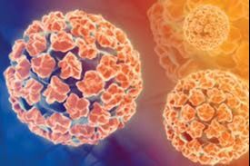 Ingrandire l'immagine: Best Care Medical - Dental Center Roma