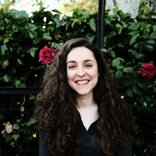 Acercar imagen: Online