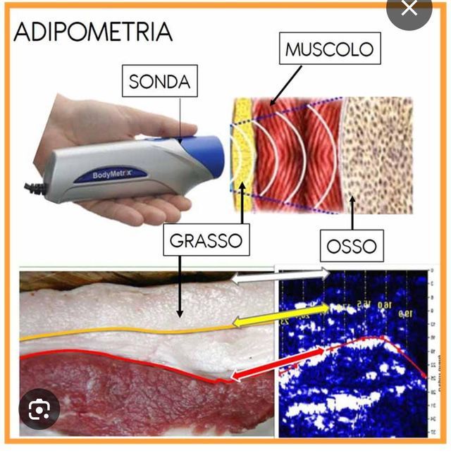 Ingrandire l'immagine: Panta Rei Rehab