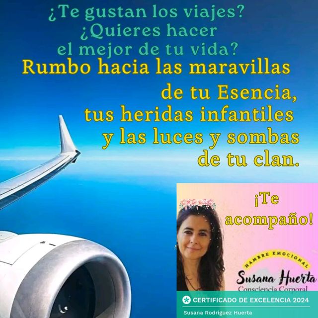 Acercar imagen: En Málaga, la Malagueta (online)