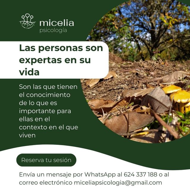 Acercar imagen: Consulta presencial, Micelia Psicología