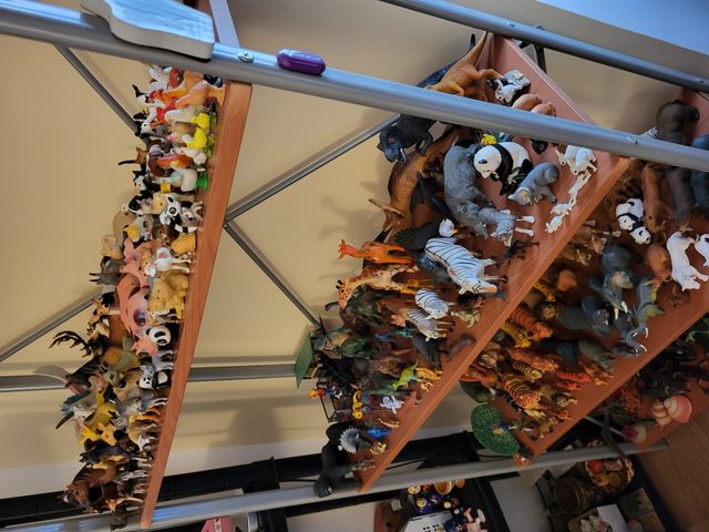 Ingrandire l'immagine: Studio di  psicoterapia dottoressa Pacella