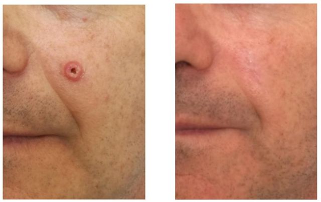 Ingrandire l'immagine: D'Aloja Aesthetic