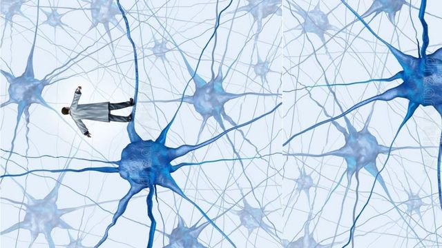 Ingrandire l'immagine: Consulenza Online