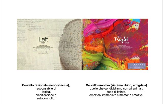 Ingrandire l'immagine: Studio AUXILIUM