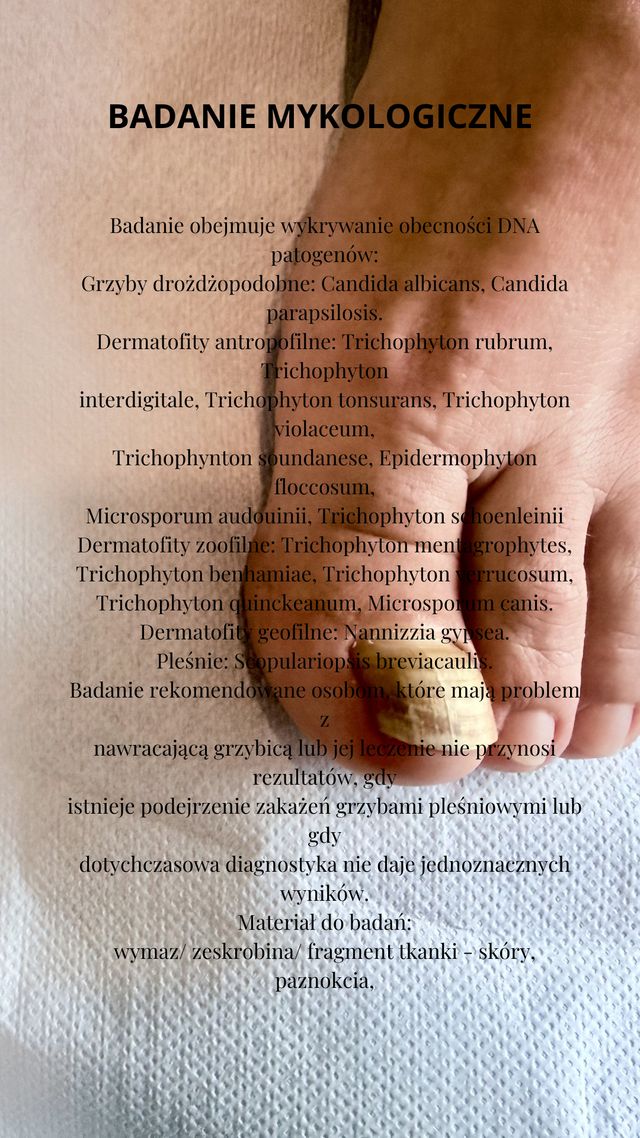 Powiększ obraz: Lush Beauty & Hair